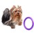 8d978009285307eb2de46d8bbb8ed89c.jpg