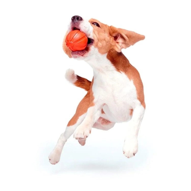 LIKER-Ball-pies_07.jpg