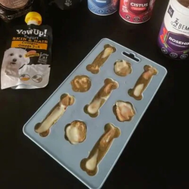 Iceboo-10.jpg
