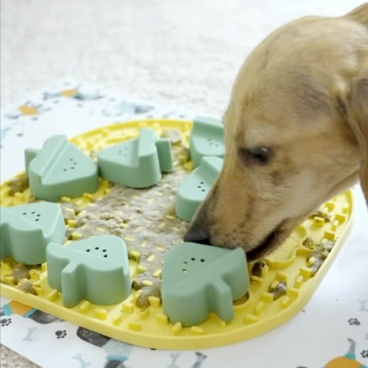 Snoopy Fibnoose_13.jpg