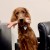 AB-dog-18.jpg