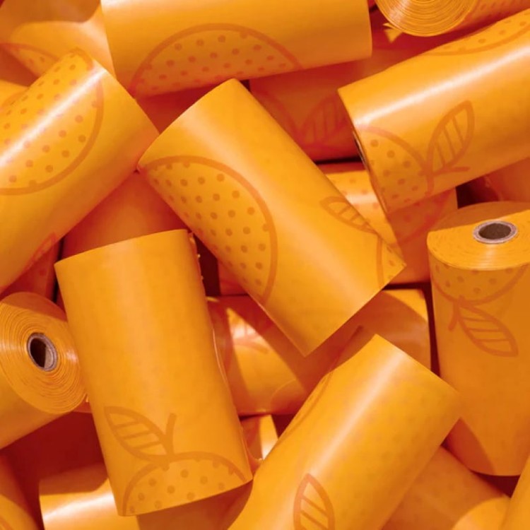 OLINGO-VETRESKA-tangerine-bags-008.jpg