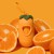 OLINGO-VETRESKA-tangerine-disp-008.JPG