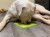 LM-Soother-06_34.jpg