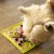 LM-Buddy-19.jpg