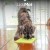 LM-Buddy-02.jpg