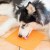 LM-Buddy-21.jpg