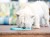 LickimatSlomo_08_34.jpg