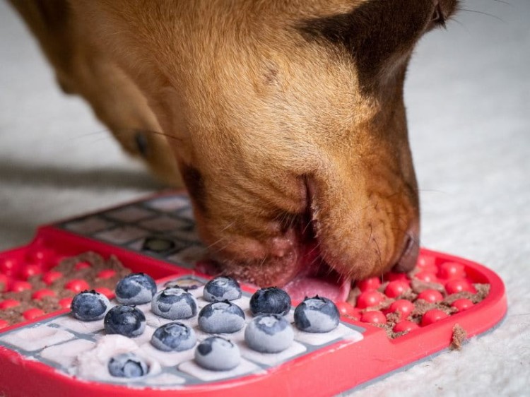 LickimatSlomo_19_34.jpg