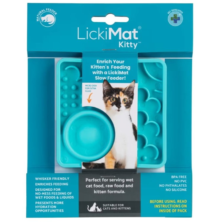 Kitty-Turquoise-01.jpg