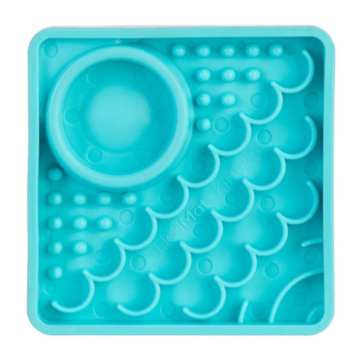 Kitty-Turquoise-02.jpg