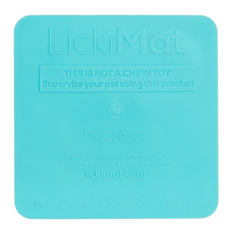 Kitty-Turquoise-03.jpg