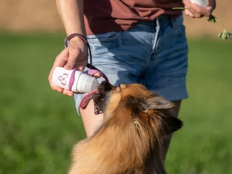 Doggyroller-25-34.jpg