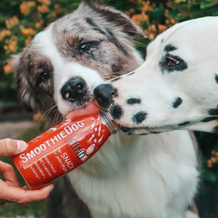 SmoothieDog Wołowina-06.jpg