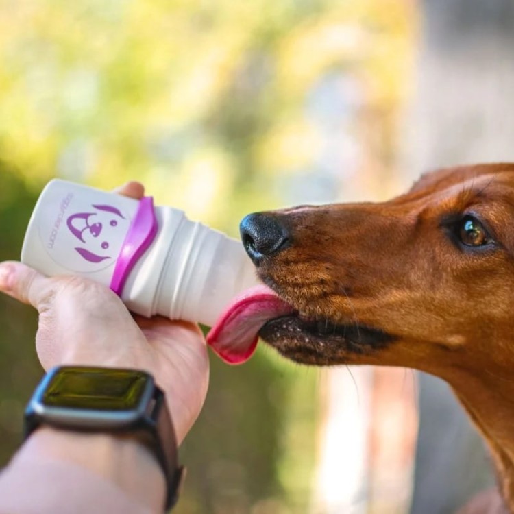 Doggyroller-27.jpg