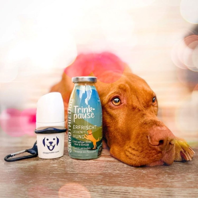 SmoothieDog Kaczka-08.jpg