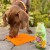 SmoothieDog Veggie-Snack -10.jpg