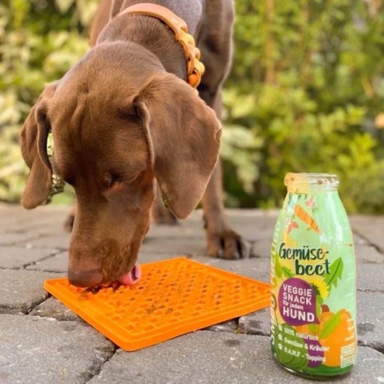 SmoothieDog Veggie-Snack -10.jpg