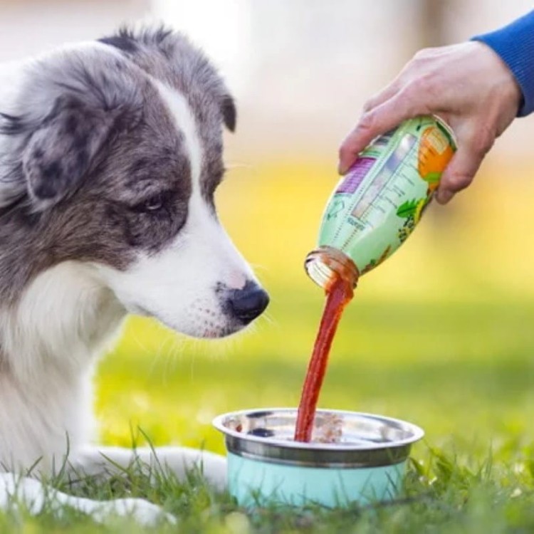 SmoothieDog Veggie-Snack -07.jpg