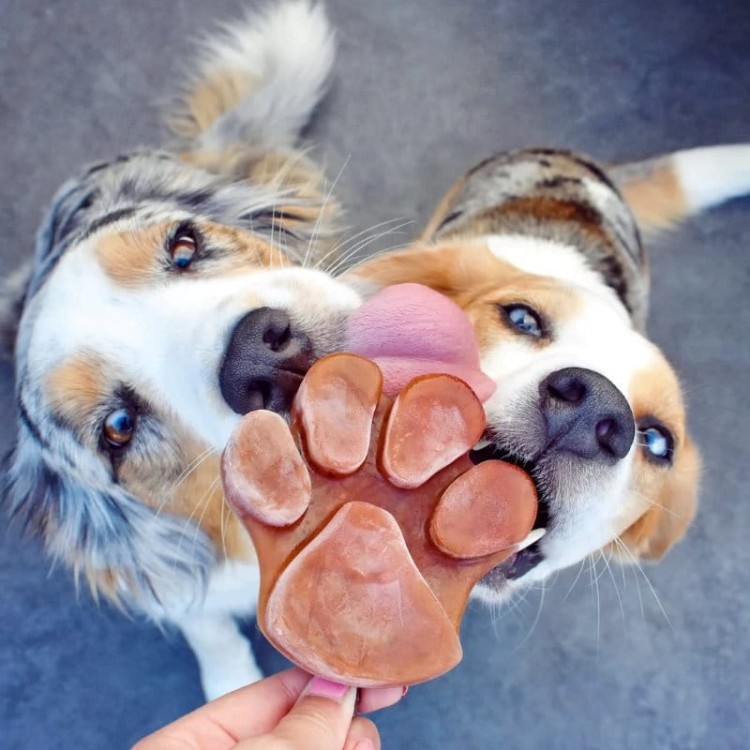Smoothiedog-forma-do-lodów-07.jpg