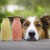 Smoothiedog-forma-do-lodów-03.jpg
