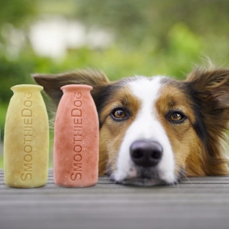 Smoothiedog-forma-do-lodów-03.jpg