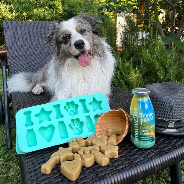 Smoothiedog-forma-kostki-lodu-03.jpg