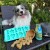 Smoothiedog-forma-kostki-lodu-03.jpg
