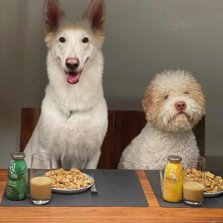 _CiasteczkaDog -01.jpg