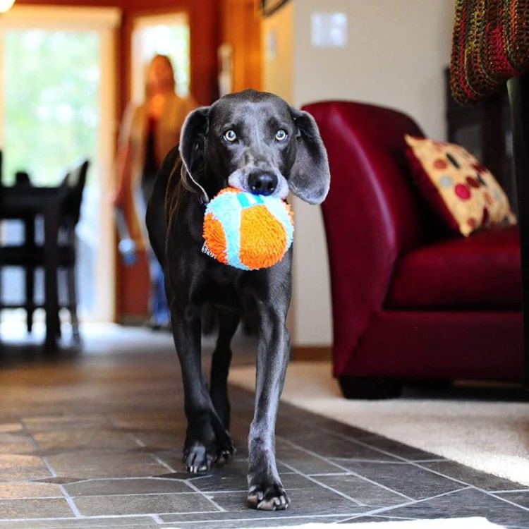 Chuckit INDOOR ball-04.jpg
