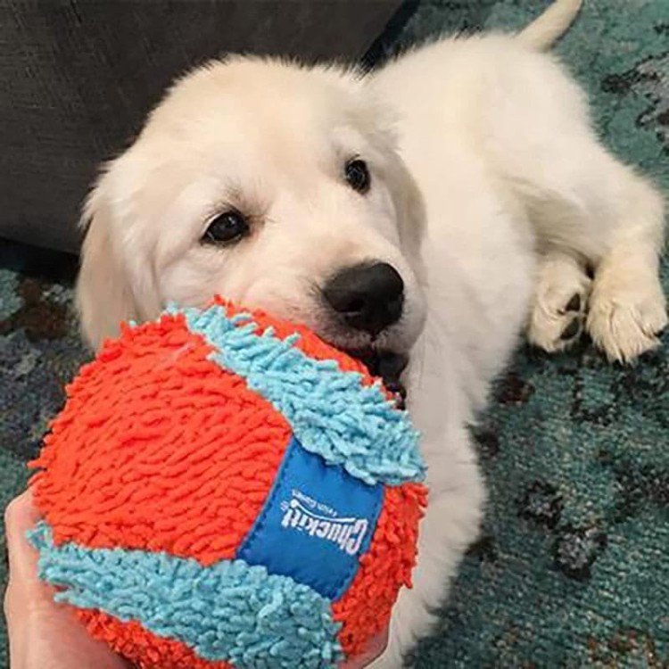 Chuckit INDOOR ball-05.jpg