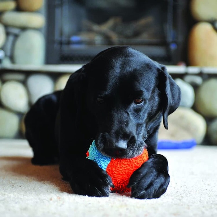 Chuckit INDOOR ball-07.jpg