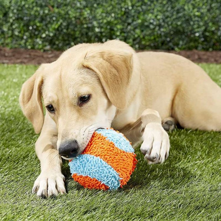 Chuckit INDOOR ball-09.jpg