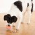 Dog Rumble Puzzle-06.jpg