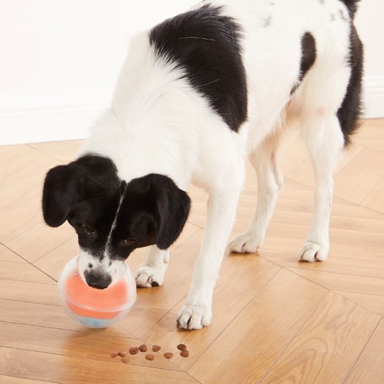 Dog Rumble Puzzle-06.jpg