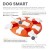 OLINGO-Dog-Smart-Level1-06.jpg