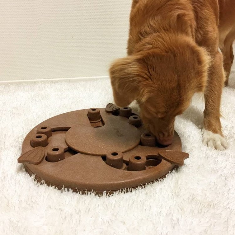 OLINGO_Dog_Worker_02.jpg