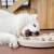 OLINGO_Dog_Worker_03.jpg