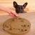 OLINGO_Dog_Worker_07.jpg