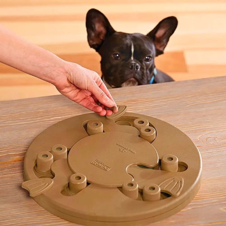OLINGO_Dog_Worker_07.jpg