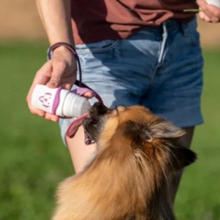 Doggyroller-25.jpg