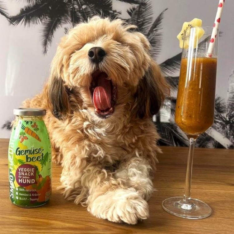 SmoothieDog Veggie-Snack -09.jpg