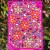 Emat FLOWER 06.jpg