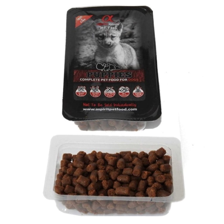 Alpha-Spirit-PUPPIES-11.jpg