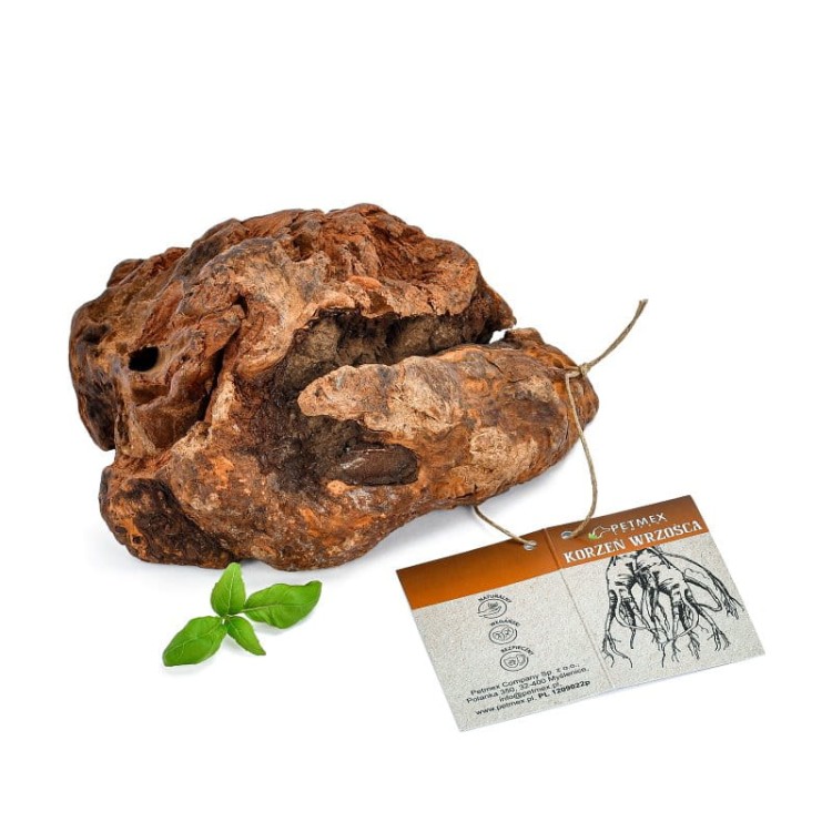 Korzeń wrzośca M.jpg
