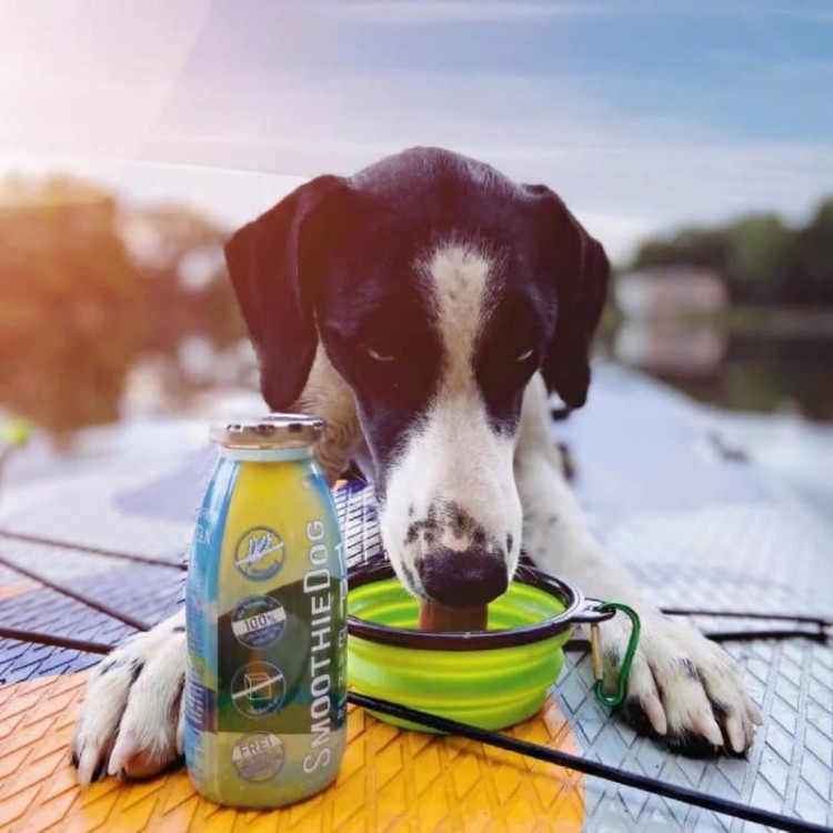 SmoothieDog Kaczka-11.jpg