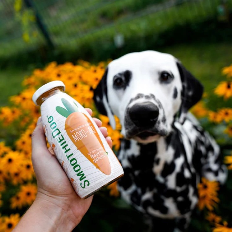 09- Smoothiedog-marchewka -14.jpg