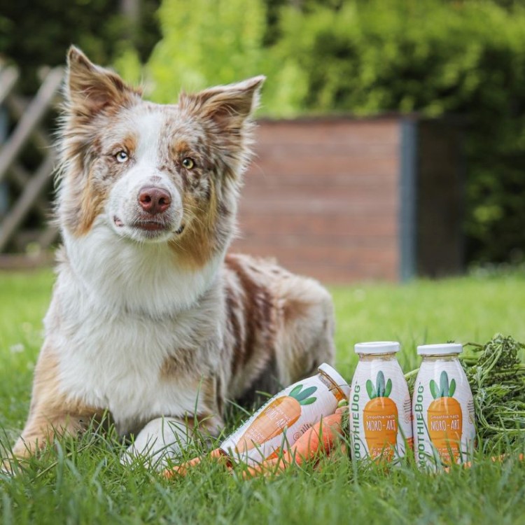 09- Smoothiedog-marchewka -12.jpg