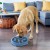 01_Fun_Feeder_niebieska_04.jpg
