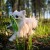 25_fiboo-frisboo-MINI-01.jpg